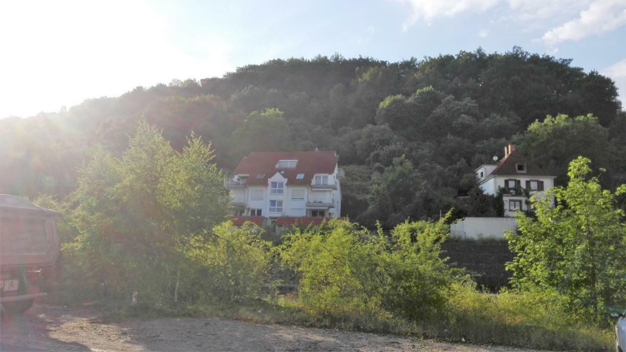 Ferienwohnung Anita Annweiler am Trifels Exteriör bild